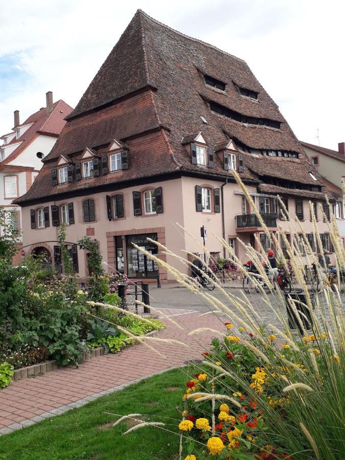 Chambre D'Hotes Du Schneeberg Bed and Breakfast Alteckendorf Exteriör bild