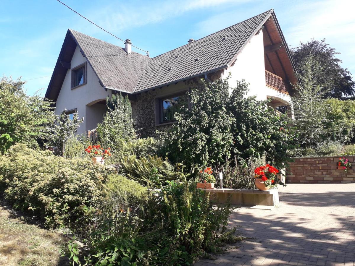 Chambre D'Hotes Du Schneeberg Bed and Breakfast Alteckendorf Exteriör bild